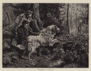 Cazando a un furtivo de Basil Bradley
